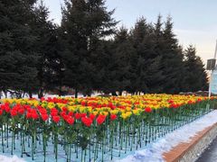 -长春公园(普阳街道)