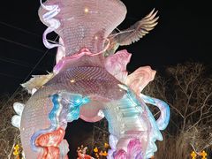 -淄博花灯齐彩城