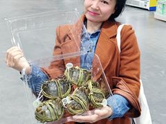 -麦德龙(郑东店)