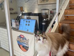 -小意思咖啡店(草桥店)