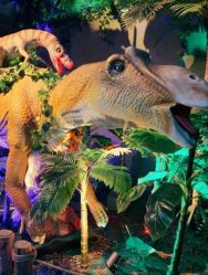 -恐龙探索乐园(磁器口店)