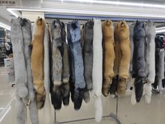 -大营西亚皮草新城