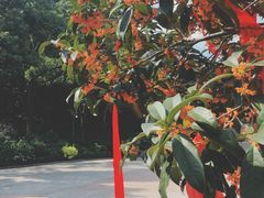 -杭州少年儿童公园