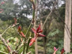 -呼吸森林·生态农庄农家乐私房菜