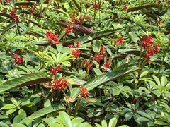 -南国桃园旅游度假区