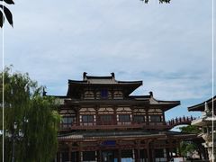 -西安乐游原