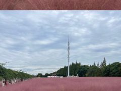 -嘉北郊野公园