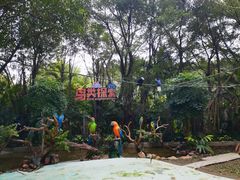 -广州长隆飞鸟乐园