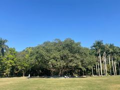 -深圳国际园林花卉博览园