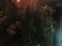 -唐宫足道·SPA·住宿24H会所(木渎店)