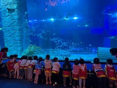 -全优加早教·托育(金沙御苑校区)