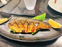 烤青花鱼-炙韩料理·部队锅专门店