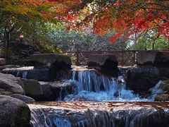 -中国茶叶博物馆(双峰馆区)
