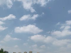 -青枫公园