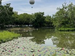 -西溪国家湿地公园