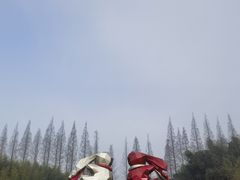 -黄海国家森林公园