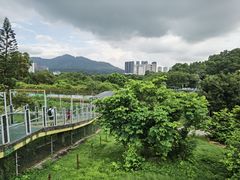 -深圳野生动物园