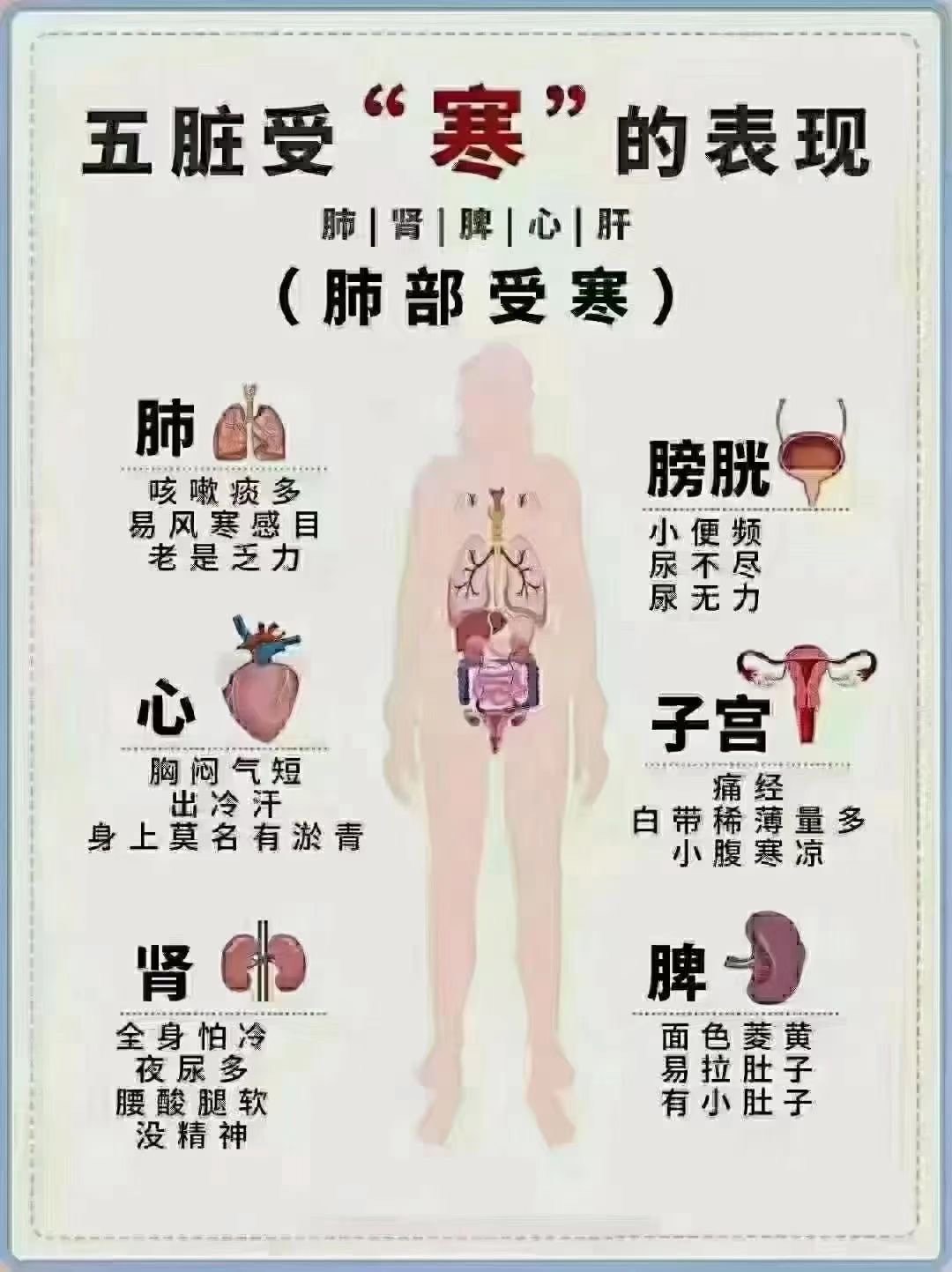 每日健康小常识(每日健康小常识上的电话是怎么放上去的图片)