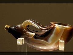 -陕西自然博物馆