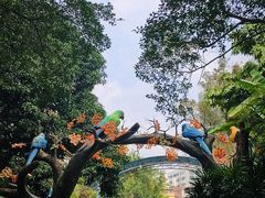 -南宁市动物园