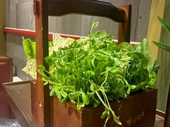 -牛村来人潮汕牛肉火锅(西单店)