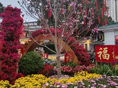 -晓港公园