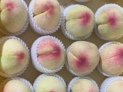 -老袁家蜜桃农场·阳山水蜜桃