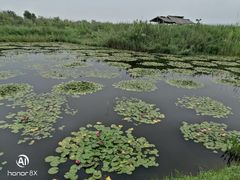 -处女泉风景名胜区