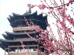 -杭州半山国家森林公园