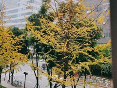 -锦城印象火锅(天府三街店)