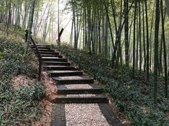 -南山风景名胜区