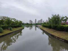 -菊园百果园
