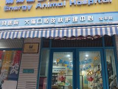 -总动员动物医院(宝丰院店)