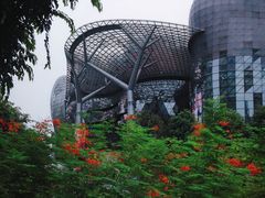 -爱雍·乌节