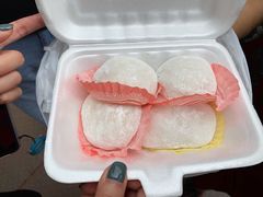 奇异果糯米糍-澳门长洲糯米糍(柯打苏沙街店)