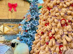 -HERRE·FARM 赫尔露营农场·团建聚会包场