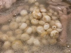 小马蹄-烹然四季椰子鸡火锅(团结湖总店)
