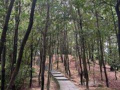 -火炉山森林公园