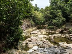 -广州白江湖森林公园