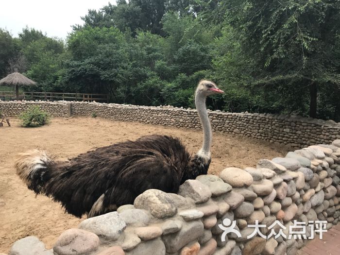 北京野生動物園圖片 - 第34張