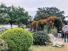 -东莞植物园