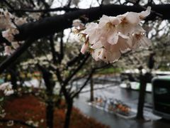 -南浦大桥长途旅游客运站