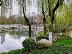 -后襄河公园