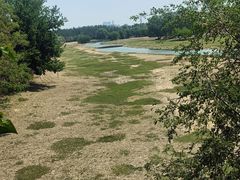 -北京麋鹿生态实验中心