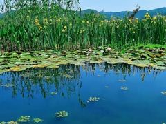 -东钱湖旅游度假区