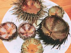 -海胆小馆(东北水饺·春柳店)