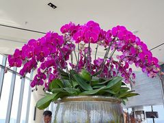 -大连君悦酒店·星海湾壹号Dalian·Dalian(星海广场店)