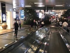 -厦门高崎国际机场-T3航站楼