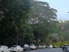 -中旅阿那亚九龙湖·公主酒店