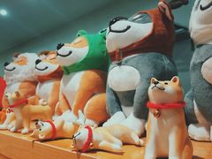 -柴务处·柴犬主题狗咖